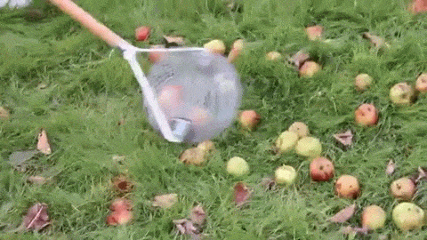 rouleau attrape pomme