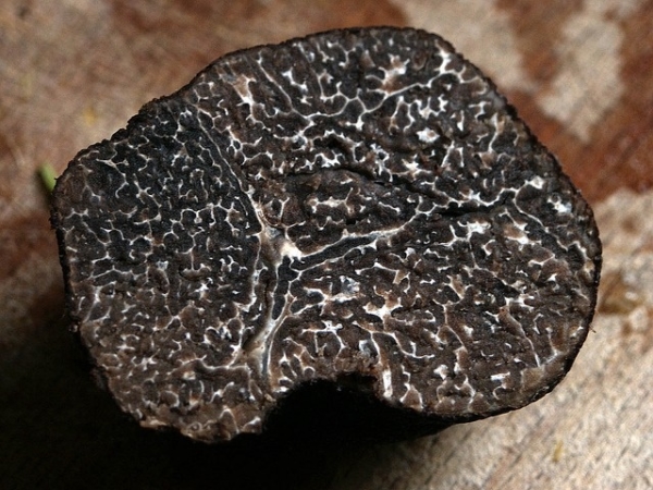 intérieur truffe noire