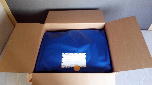 carton oreiller tediber