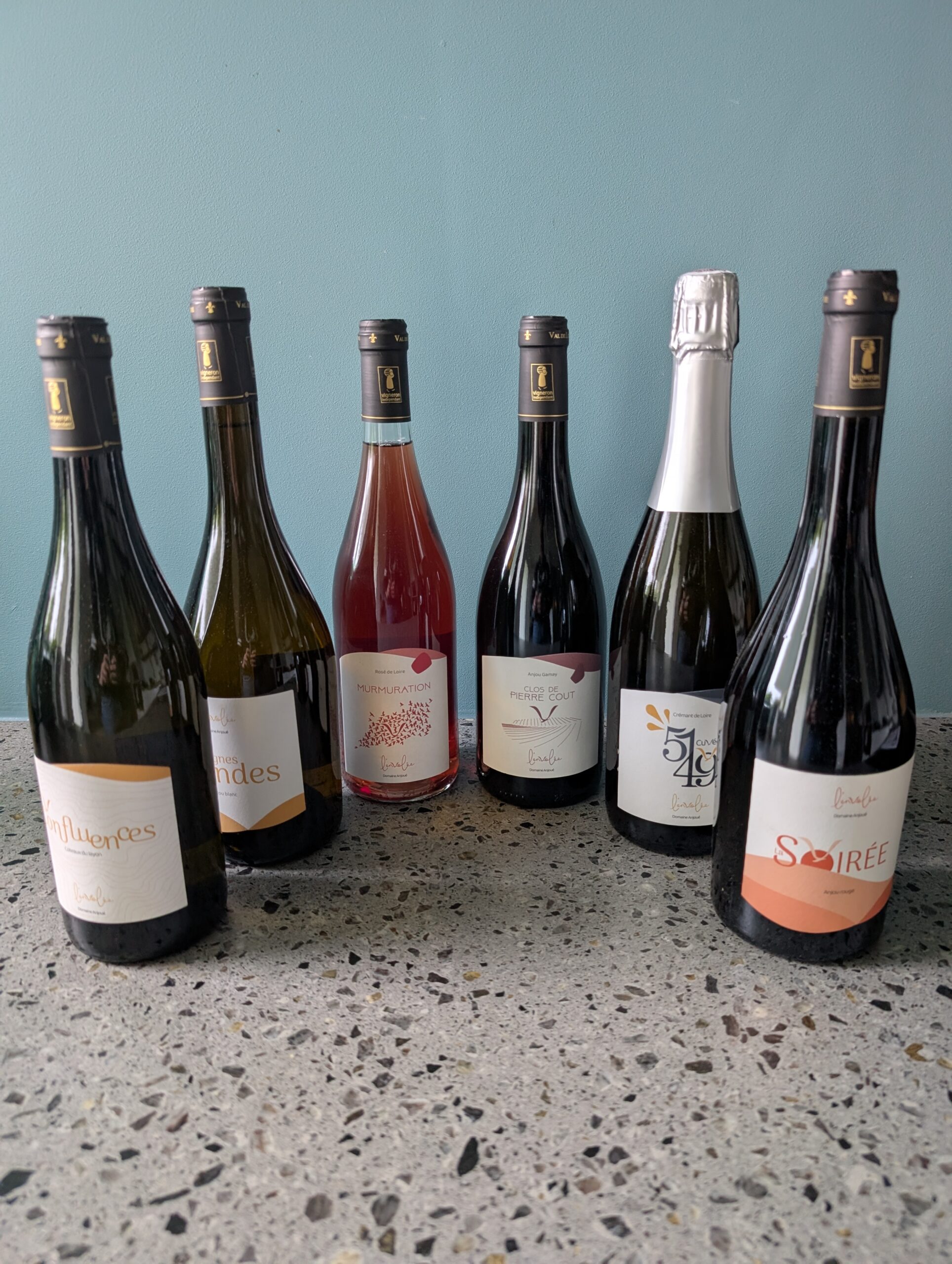 vins domaine l'Envolée